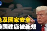 香港希望之聲