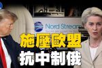 香港希望之聲