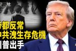 香港希望之聲