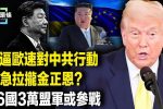 香港希望之聲