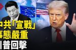 香港希望之聲