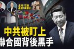香港希望之聲