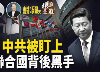 【頭頭是道】眾議院中共問題特設委員會主席呼籲費城政府不要升中共旗；聯合國就近還有沒有獨立性？信譽何在？達拉斯…
