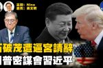香港希望之聲 香港希望之聲
