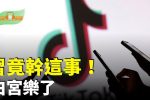 香港希望之聲