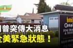 香港希望之聲
