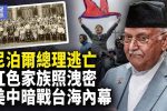 香港希望之聲