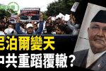 香港希望之聲