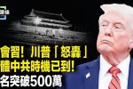 香港希望之聲