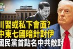 香港希望之聲