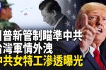 香港希望之聲