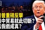 香港希望之聲