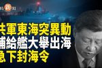 香港希望之聲