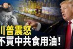 香港希望之聲