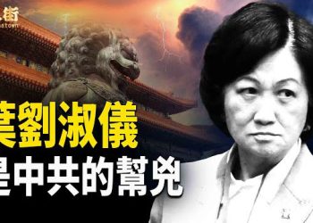 【唐人街】葉劉淑儀同香港特區政府官員全部豉椒炒魷；個別香港明星為了利益埋沒良心；中共和恐怖分子稱兄道弟  