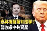 香港希望之聲