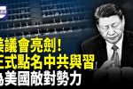 香港希望之聲