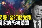 香港希望之聲