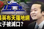 香港希望之聲