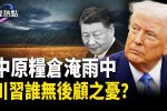 香港希望之聲