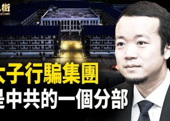 【唐人街】梁振英是一帶一路的頭目，與太子詐騙集團有直接關係？太子詐騙集團分佈全球 