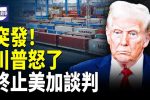香港希望之聲