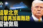 香港希望之聲