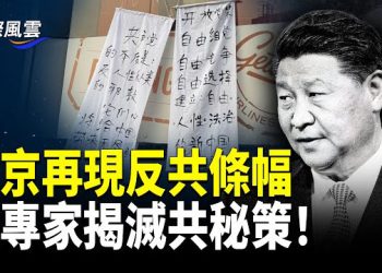 【國際風雲】四中全會剛過北京再現四通橋時刻！中共瞄準全球普通公民被曝，台國民黨怒揭中共謊言 
