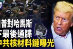 香港希望之聲