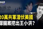 香港希望之聲