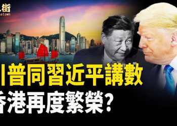 【唐人街】陳茂波發噏風，反共黑客爆大鑊；大陸多個城市和北京烏鴉遮天蔽日，非常恐怖，大量燕子不飛往南方，凍死在北方   