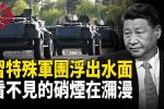 香港希望之聲