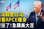 香港希望之聲