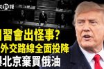香港希望之聲