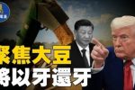 香港希望之聲