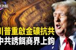 香港希望之聲