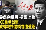 香港希望之聲
