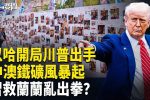 香港希望之聲