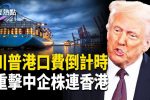 香港希望之聲