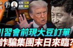 香港希望之聲