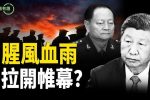 香港希望之聲