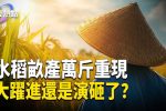 香港希望之聲