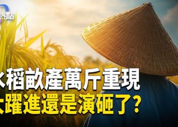 【財經熱點】天價收傳奇酒店，買家入獄中共接管 | 水稻畝產萬斤重現，大躍進還是演砸了？ 主播：婉兒