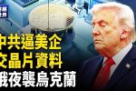 香港希望之聲
