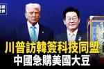 香港希望之聲
