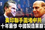 香港希望之聲