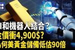 香港希望之聲