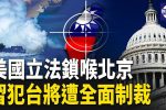 香港希望之聲