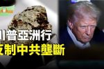 香港希望之聲