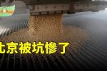 香港希望之聲